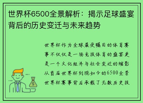 世界杯6500全景解析：揭示足球盛宴背后的历史变迁与未来趋势